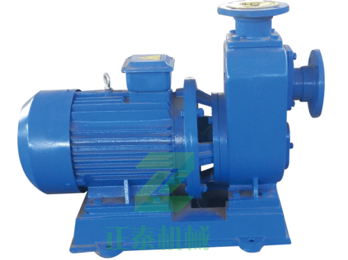 湖南絮凝剂上料泵